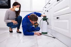 Reliable Woodstown, NJ Pest control Solutions