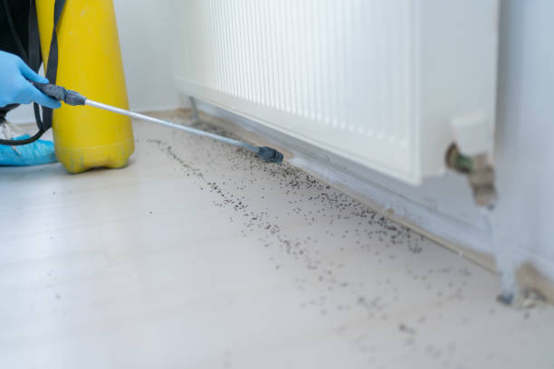 Best Pest Prevention Services  in Woodstown, NJ